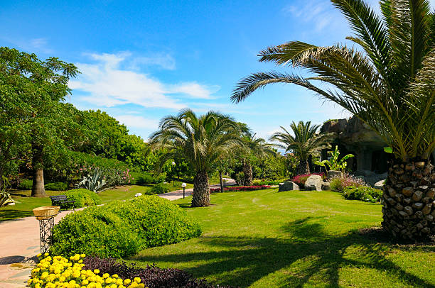 lush tropical garden with vibrant palm trees and perfectly manicured lawns under a bright blue sky. This serene scene is ideal for conveying relaxation, vacation, or natural beauty.