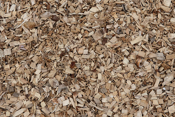 Background. A large pile of fresh wood chips. The shredded wood is used for mulching, landscaping, or covering forest trails.