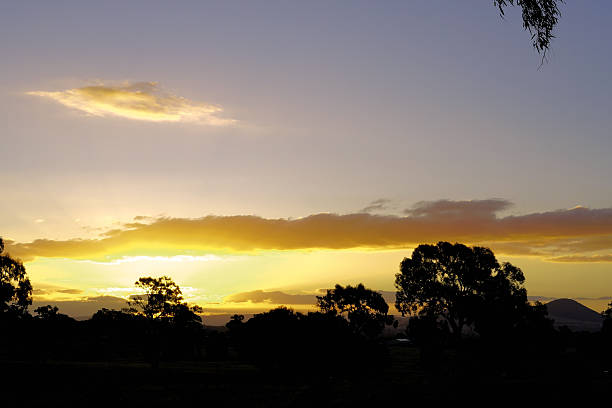 Under a golden sky, Mansfield’s farmland glows as the sun dips behind rolling hills. Fences stretch across amber fields, their wooden posts casting long shadows. Cows graze lazily, their silhouettes dark against the fading light. The air hums with crickets, and the scent of dry grass lingers. Distant trees stand like sentinels, their leaves rustling in the evening breeze. A lone tractor rests near a weathered barn, its work done for the day. As twilight deepens, the horizon blushes pink, then purple—a quiet end to another sunlit hour in Victoria’s countryside.