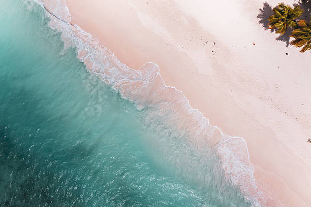istock Tropical carribbean beach, aerial abstract background 2239254835