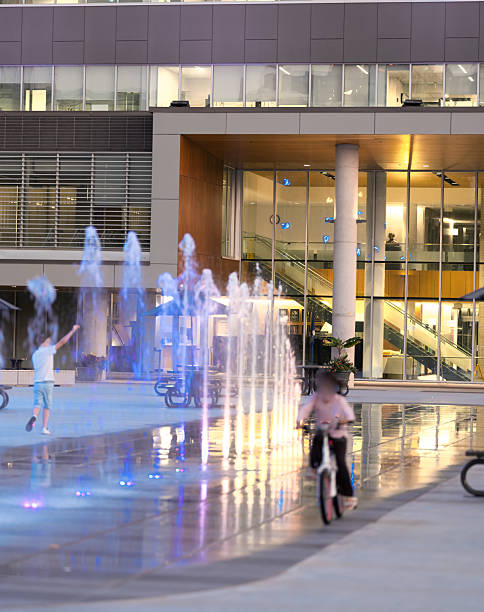 Windsor, Ontario, Canada - January 09, 2020:  The Windsor, Ontario City Hall Campus area.