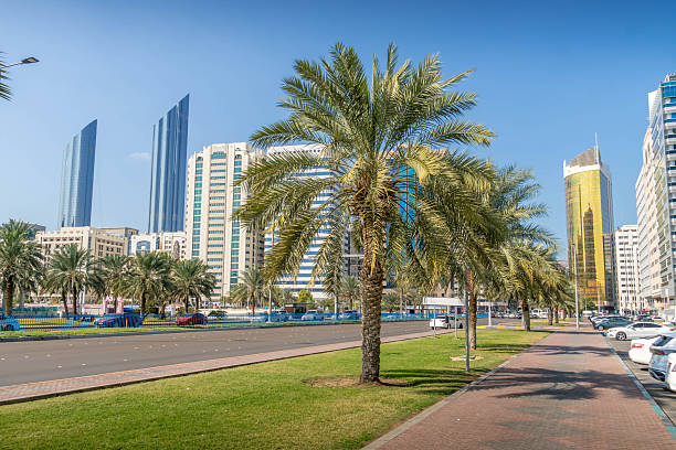 istock Palm lined promenade and modern high-rises along Sheikh Zayed Bin Sultan Street, Abu Dhabi, UAE 2239288292