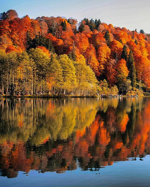 istock Autumn forest reflection in calm lake with colorful trees 2239288869