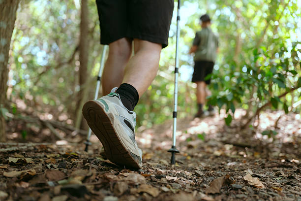 istock Hiking on a forest trail with trekking poles during daytime exploration 2239291105