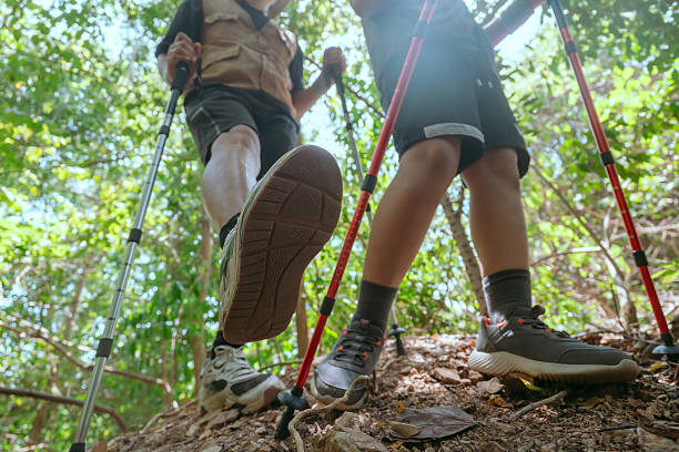 istock Hiking on a forest trail with trekking poles during daytime exploration 2239291110