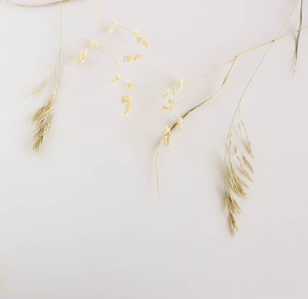 istock Dry grass frame top view on beige background template with copy space 2239291513