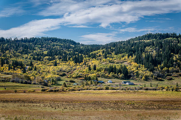 istock Fall colors dotting a hillside in Cypress Hills, Saskatchewan 2239292461