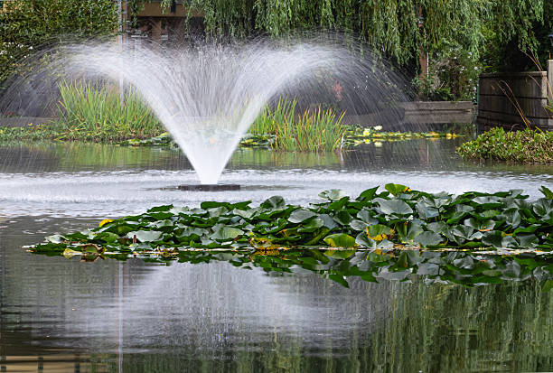 The pond with water fountains in the city park. Beautiful Fountain Park inside the botanical green Garden