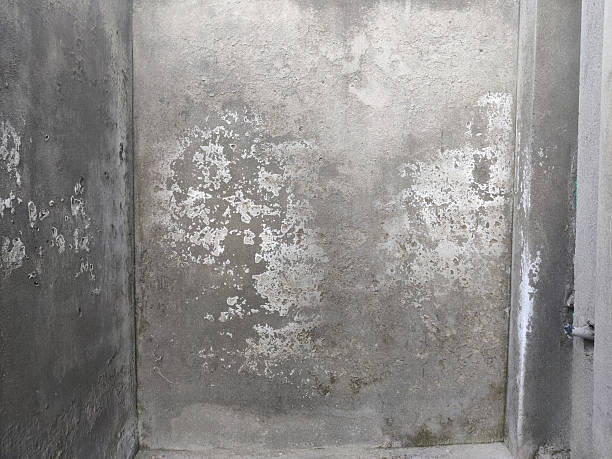 istock Interior wall showing white powder after plaster work representing incomplete renovation process 2239302209