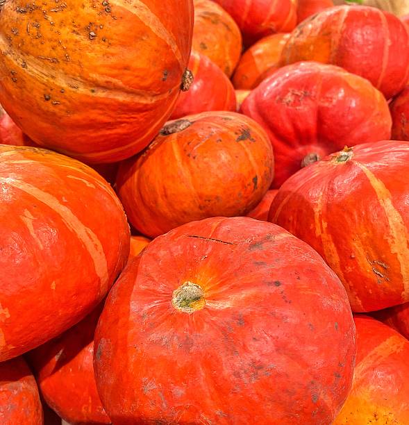 istock Autumn Pumpkins for Seasonal Decoration 2239303601