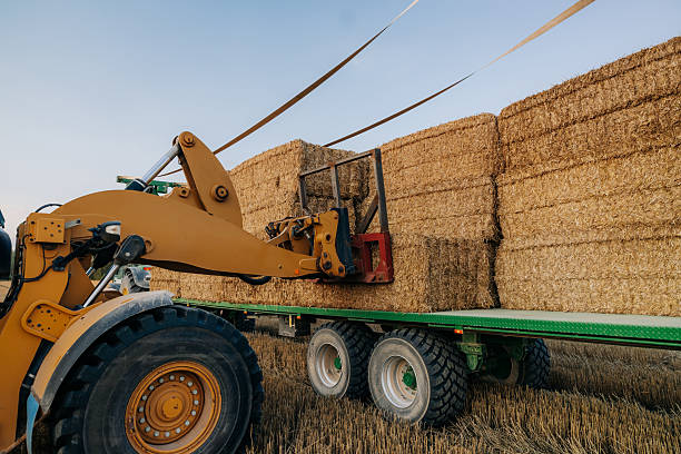 istock Yellow Loader Lifting Hay Bales onto Green Flatbed Trailer in Field 2239305451