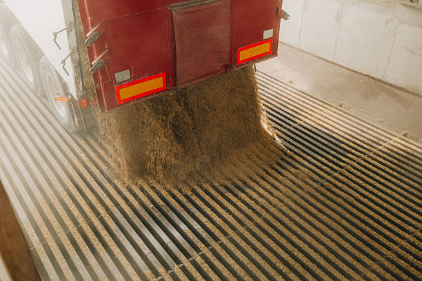 istock Red Truck Unloading Grain onto Grated Platform in Indoor Facility 2239305490