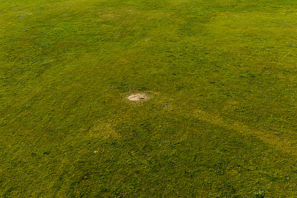 istock Partly abandoned meadows in autumn 2239310126