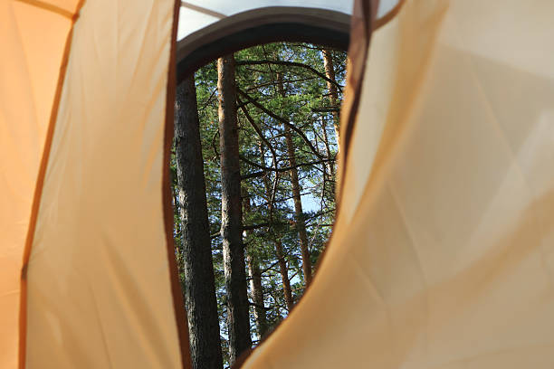 istock View from tent to pine forest in daytime 2239314156
