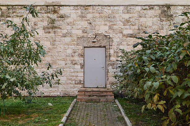 A serene image of a minimalistic door against a weathered wall, surrounded by vibrant greenery and lush plants