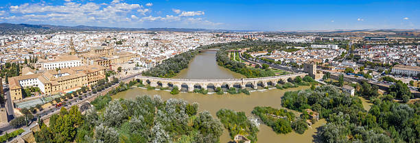 istock Aerial view of Cordoba 2239316607