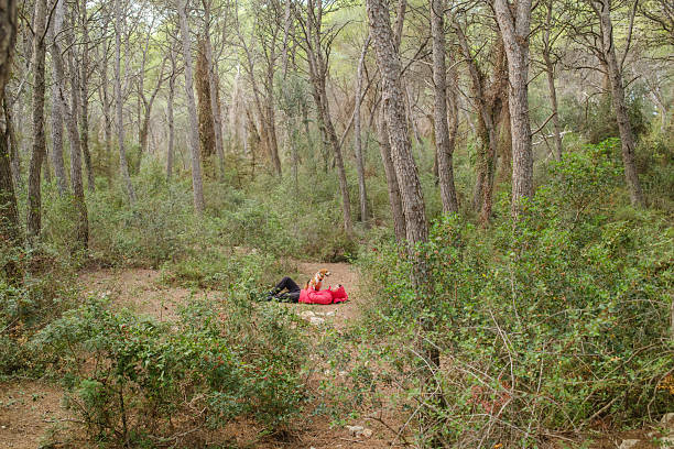 Man lying on forest floor relaxing with his loyal dog by his side among tall pines and green bushes, enjoying peaceful outdoor bonding, fresh air, and quiet woodland leisure