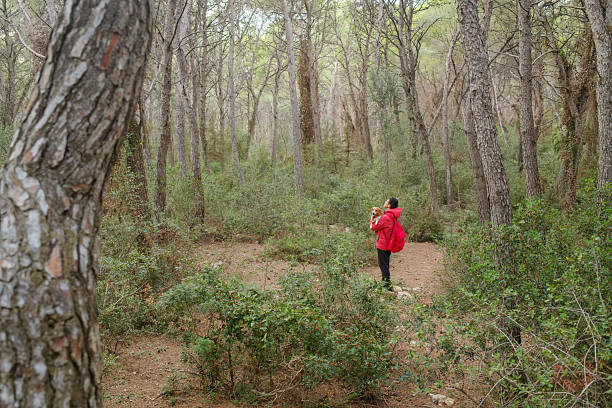 Man holding small dog in a dense pine forest, enjoying a relaxed outdoor hike and bonding with his pet amid trees, fresh air and a peaceful wilderness adventure