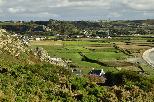 The coastal potato fields shot from a high viewpoint in Autumn.
