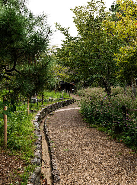 A serene gravel path winds through a lush, wooded garden bordered by stones and greenery. Pine branches, flowering shrubs, and a distant wooden shelter create a peaceful, contemplative scene.