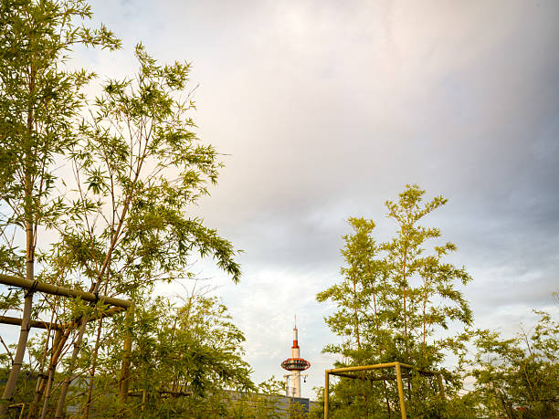 A view of Kyoto Tower rising above lush bamboo framed by golden supports, symbolizing the harmony and contrast between Japan’s modern urban design and traditional natural beauty.