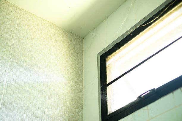 istock Dirty bathroom corner with dusty window and spider webs on tiled wall, symbolizing neglect, lack of cleanliness, hygiene issues, and the need for cleaning or home maintenance. 2239339463