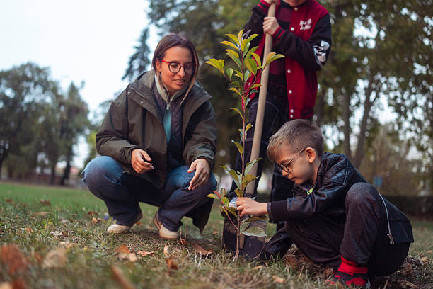 istock Young Woman And Boy Planting Tree Outdoors In Natural Park Setting 2239339783