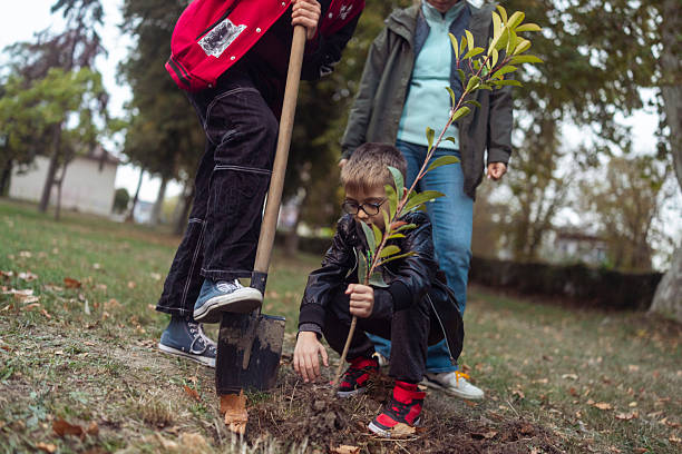 istock Young Boy Planting Tree Outdoors With Adults Helping On Cloudy Day 2239339809