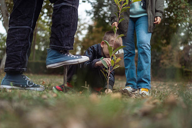 A young boy carefully plants a small tree sapling outdoors while two adults stand nearby. The scene is set in a grassy area with autumn foliage, highlighting a hands-on outdoor activity focused on nature and growth.