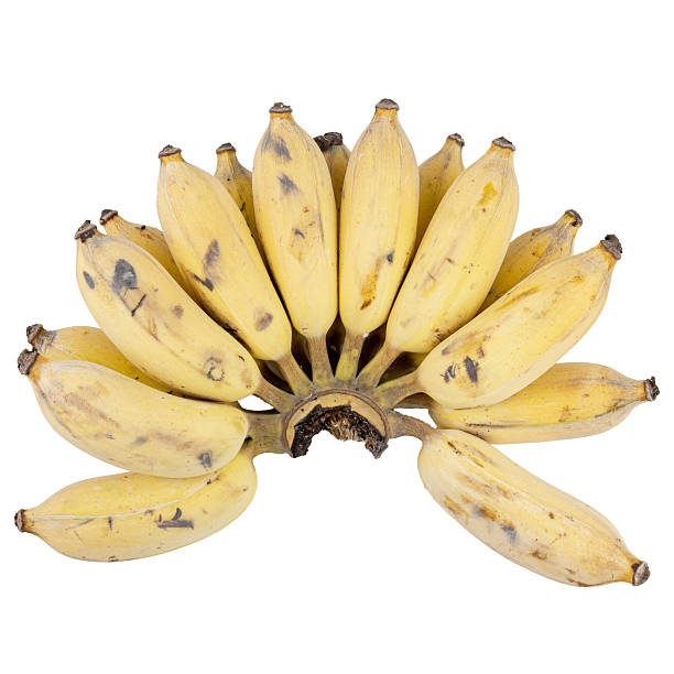 Bunch of ripe bananas isolated on white background with clipping path.