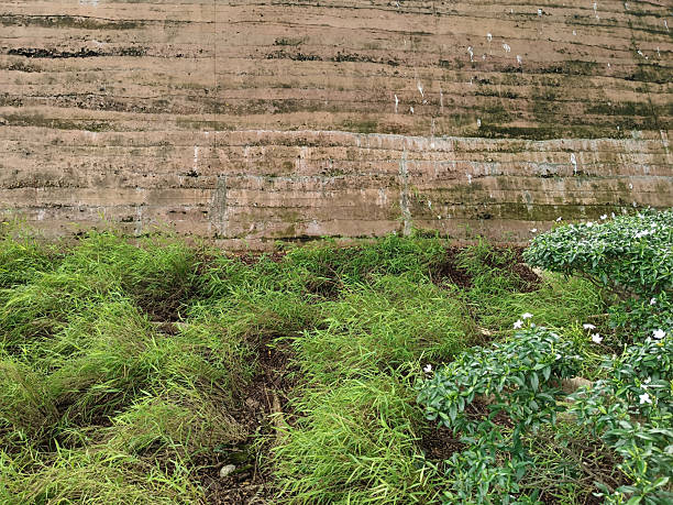 istock rammed earth wall with some plant 2239344673