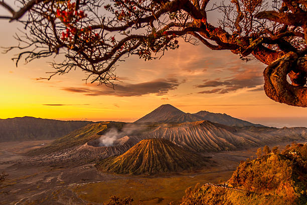 istock Bromo volcano during sunrise in Bromo Tengger Semeru National Park, East Java, Indonesia. 2239356281