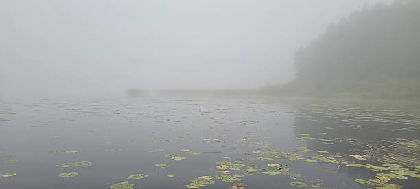 istock Fog over a lake overgrown in August 2239356674