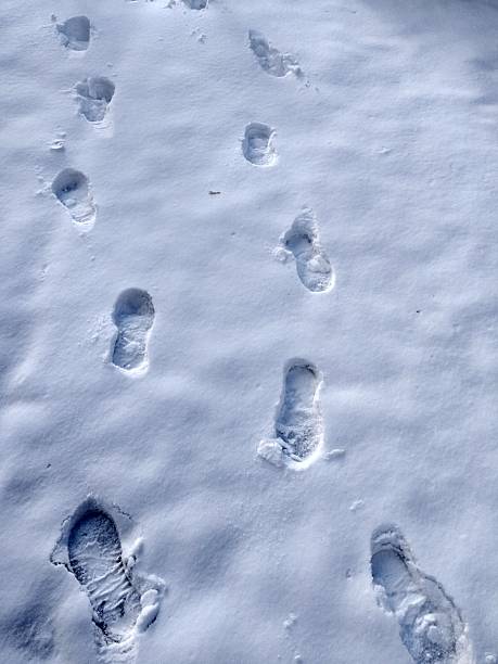 istock Footsteps in the snow 2239358250