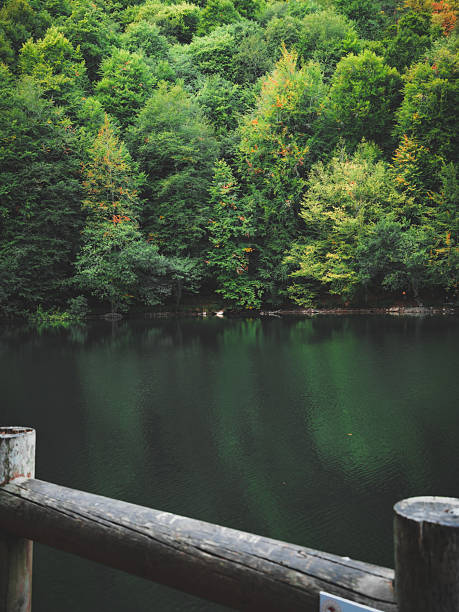 september in yedigoller, nature