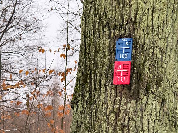 Blue and red signs of water supply and hydrant on a tree in winter