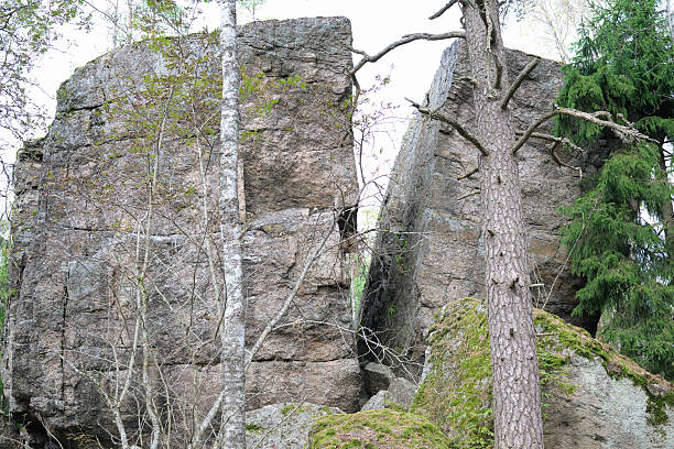 istock Rock formation in a green forest, Turku, Finland 2239361105