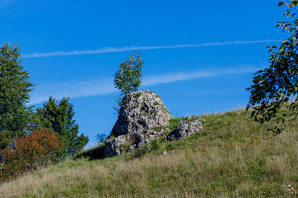 A prominent rocky outcrop with a small tree on top stands on a grassy hillside under a bright blue sky with faint clouds.