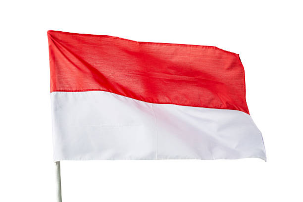 istock Indonesian flag isolated on white background. 2239364598