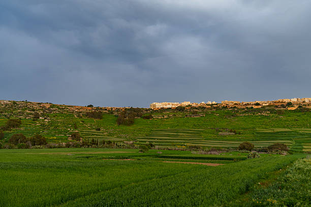 istock Terraced Green Fields beneath Stormy Sky on Mediterranean Island 2239366498