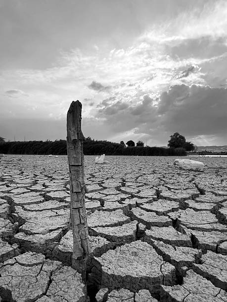 withdrawal of water due to drought, desertification, climate change, cracked soil texture.