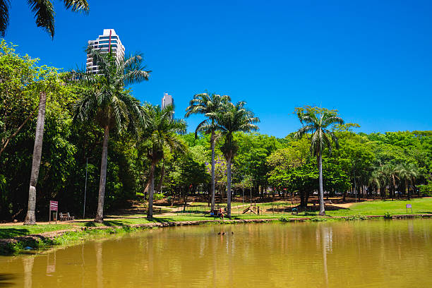 istock View of 'Vaca Brava' park 2239366701