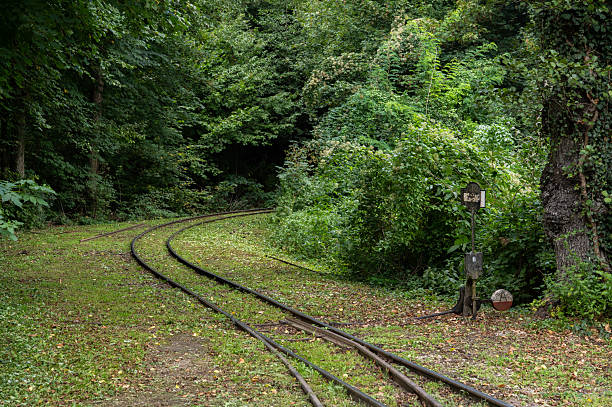 A narrow-gauge railway track with a manual switch runs through a dense green forest. Surrounded by thick vegetation and soft natural light, the scene evokes a peaceful and nostalgic atmosphere of rural railways.