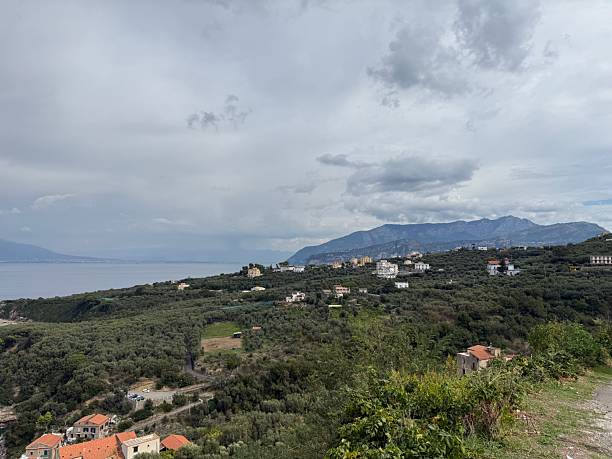 istock Overcast Mediterranean Coastal Landscape with Olive Groves 2239373028