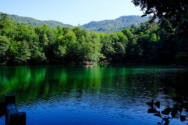 istock nature in the countryside 2239381081