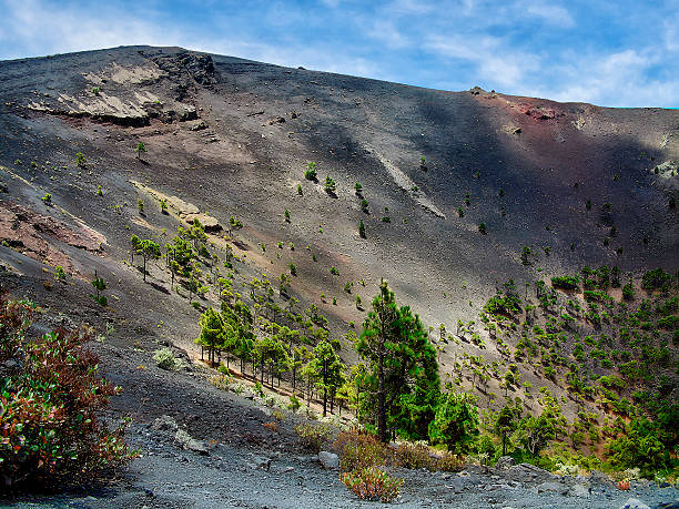 istock San Antonio Volcano Crater 2239381933