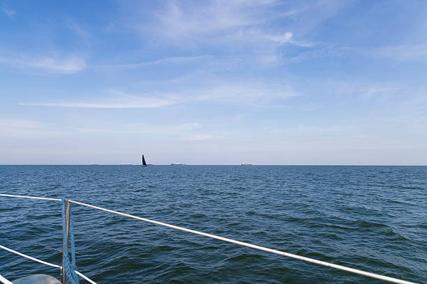 A tranquil seascape viewed from the bow of a boat, featuring sparkling blue water, a clear sky, and several cargo ships in the distance. The railing foreground adds depth and motion.