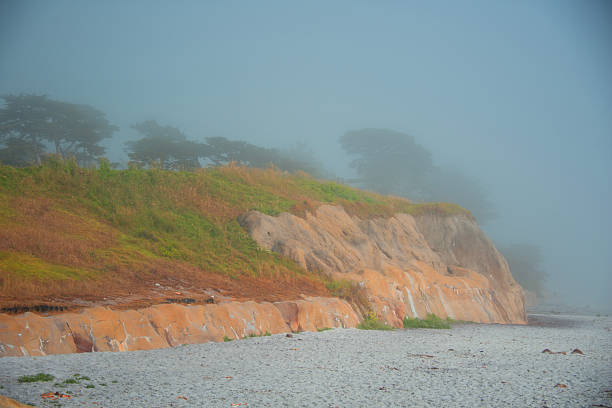 just a nature photo