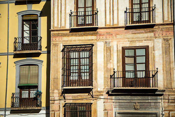 Historic facades with murals in Granada, Andalusia, Spain in the morning light