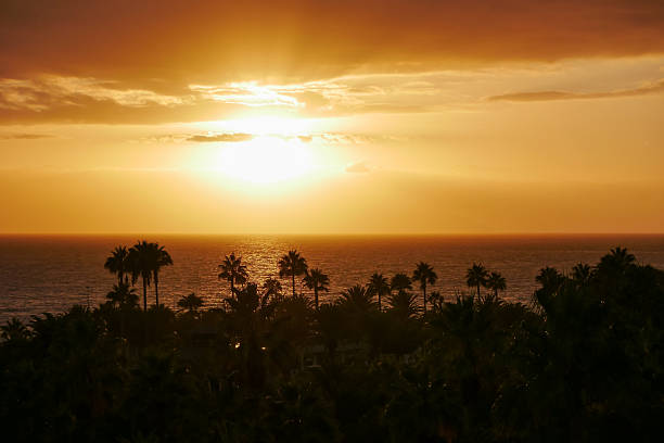 istock Sunset Over La Gomera island. View from Tenerife with Dramatic Clouds and Silhouetted Palms 2239388770
